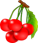 cherry bunch with leaves